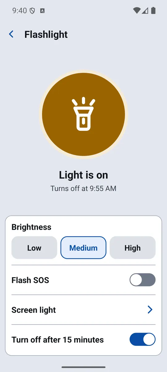 Flashlight with a large switch and brightness options